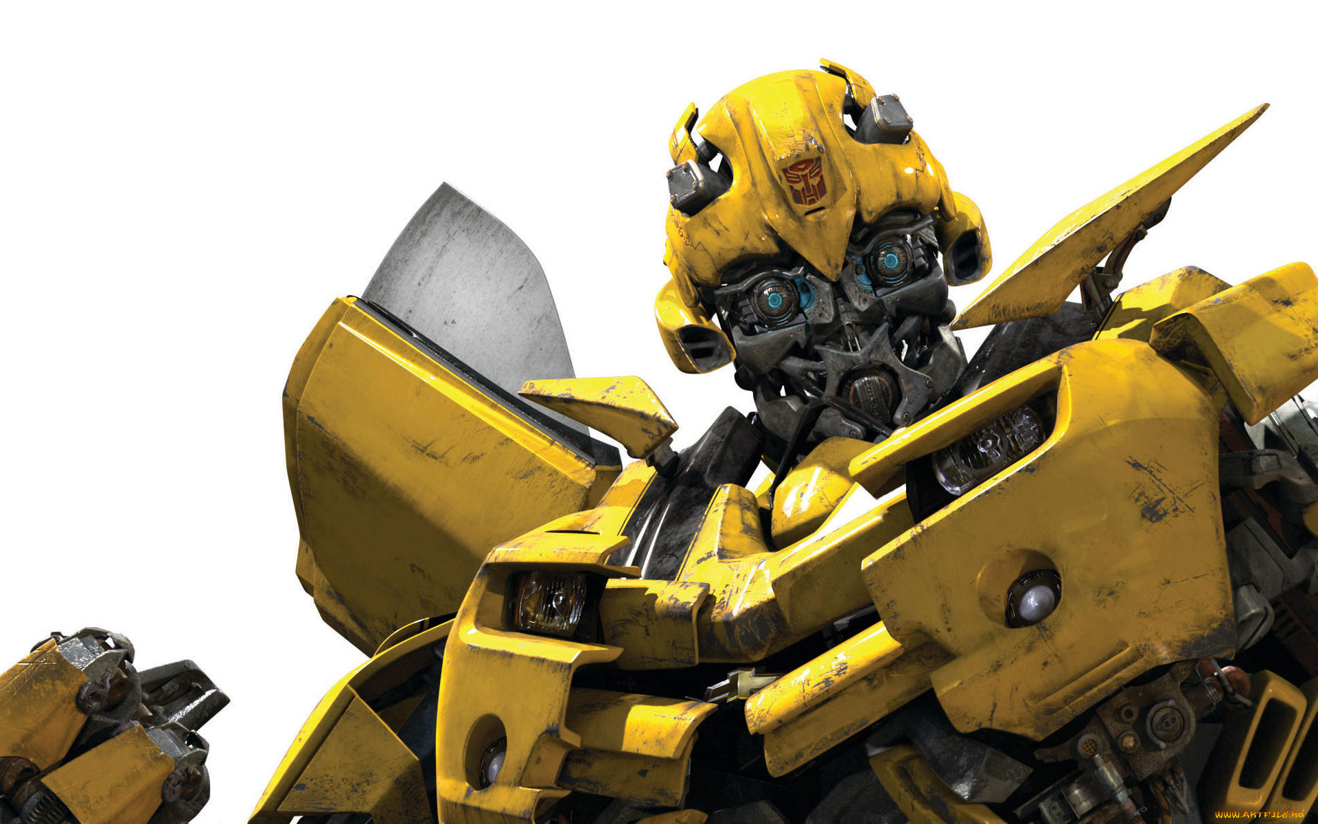 transformers, bumblebee, , 